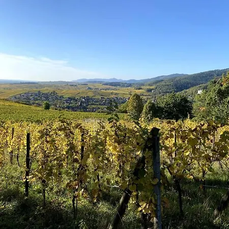 Chateaux Villages Vignes