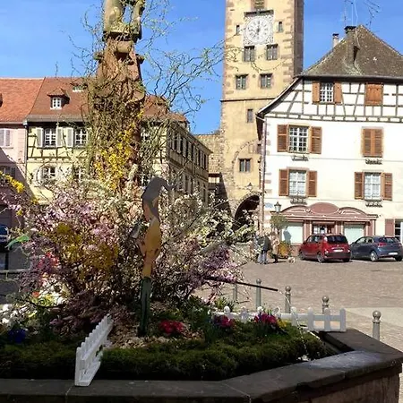 Chateaux Villages Vignes * Ribeauvillé